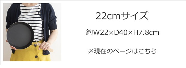 enzo エンゾウ 鉄フライパン 22cm