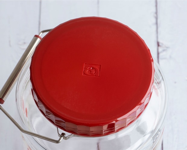 アデリアレトロ 貯蔵びん 3L レードル付き 昭和レトロ 復刻 果実酒 保存瓶 保存容器 大容量 日本製 アデリア