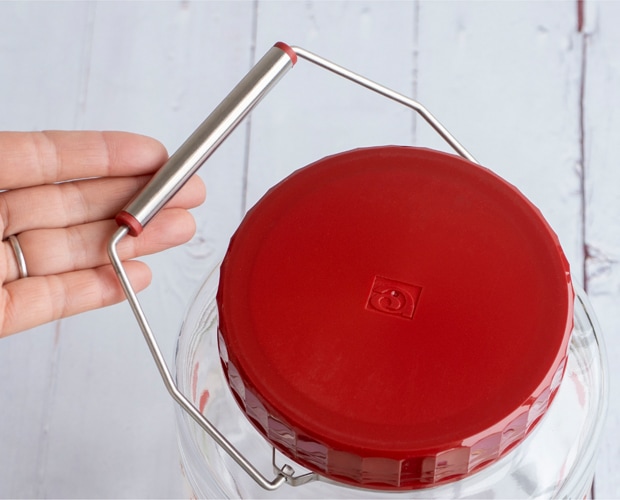 アデリアレトロ 貯蔵びん 3L レードル付き 昭和レトロ 復刻 果実酒 保存瓶 保存容器 大容量 日本製 アデリア