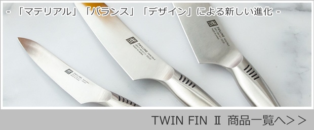 ツインフィン2