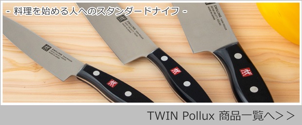 ツインポルックス