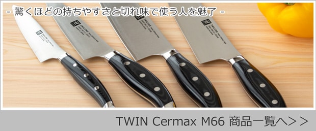 ツインセルマックスM66