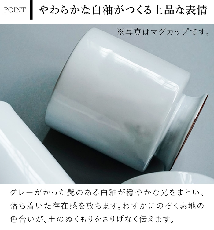 アクシス Teno オクトゴナルプレート L お皿 おしゃれ 食器 陶器 日本製 クラシック クリスマス テノ AXCIS