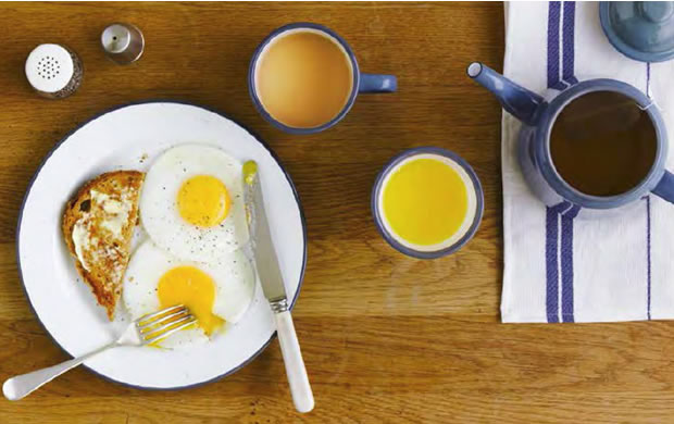 FALCON/ファルコン ティーポット TEA POT 琺瑯