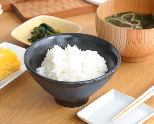 かもしか道具店 ごはんの碗 ふつう 茶碗 飯椀 電子レンジ使用可 日本製 萬古焼 ちゃわん ストーンウェア 炻器 せっ器