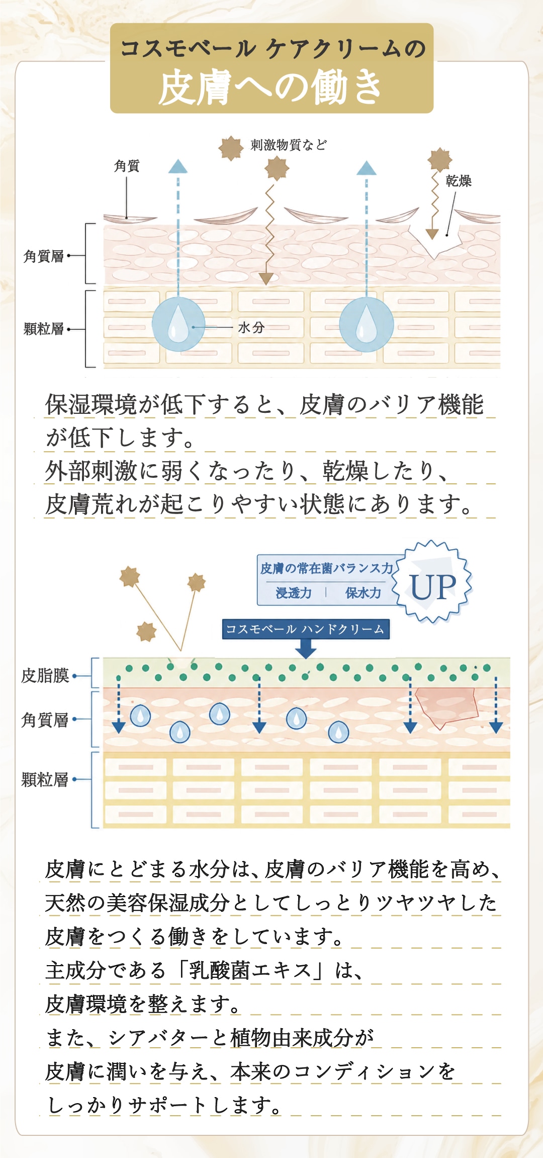 コスモベールの商品説明