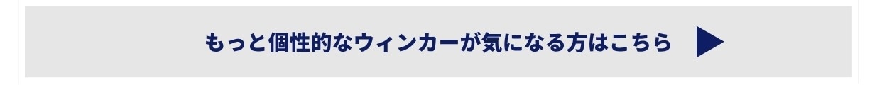 もっと個性的なウィンカーが気になる方はこちら