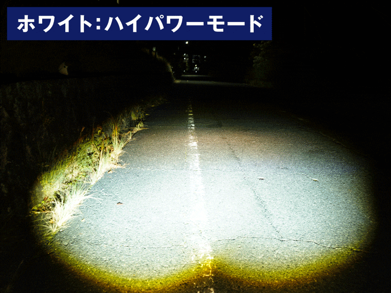 イエローとホワイトの配光比較