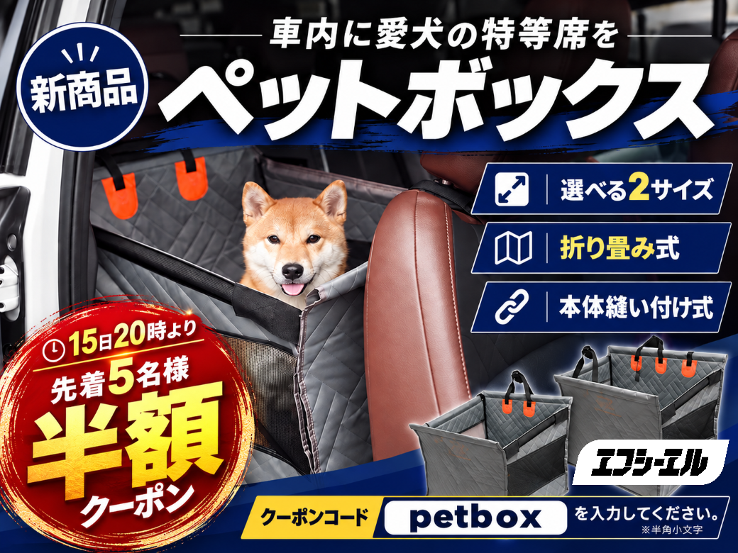 先着5名様限定半額クーポン