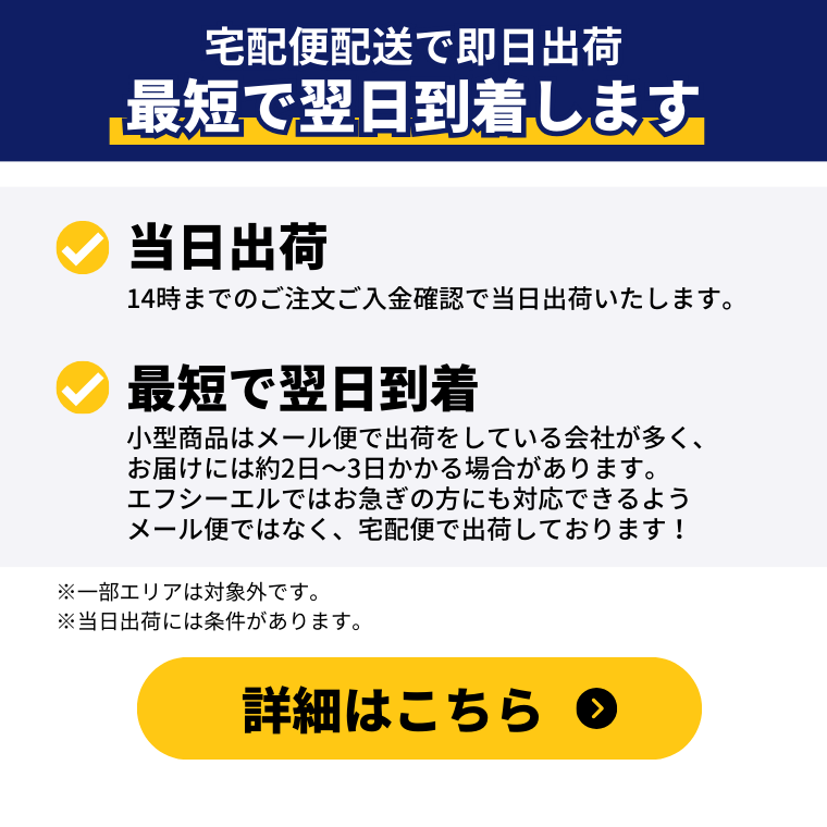 最短翌日到着 即日発送 当日発送 宅配便