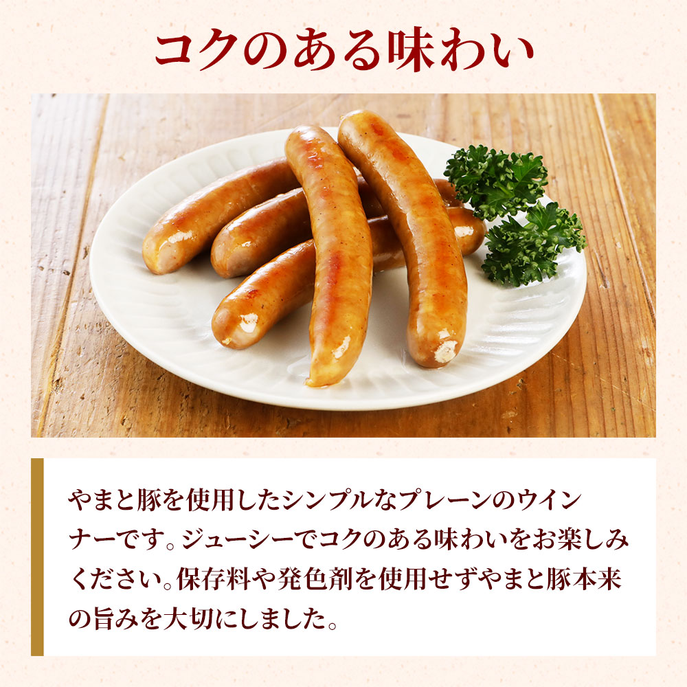 �����Τ���̣�襤 ��ޤ��ڤ���Ѥ�������ץ�ʥץ졼��Υ�����ʡ��Ǥ������塼�����ǥ����Τ���̣�襤�򤪳ڤ��ߤ�����������¸����ȯ���ޤ���Ѥ�����ޤ�������λݤߤ����ڤˤ��ޤ�����