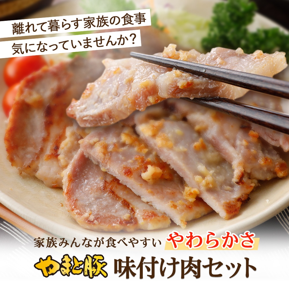 やまと豚 味付け肉5点セット NS-D [冷凍] の通販｜豚肉専門店 やまと豚