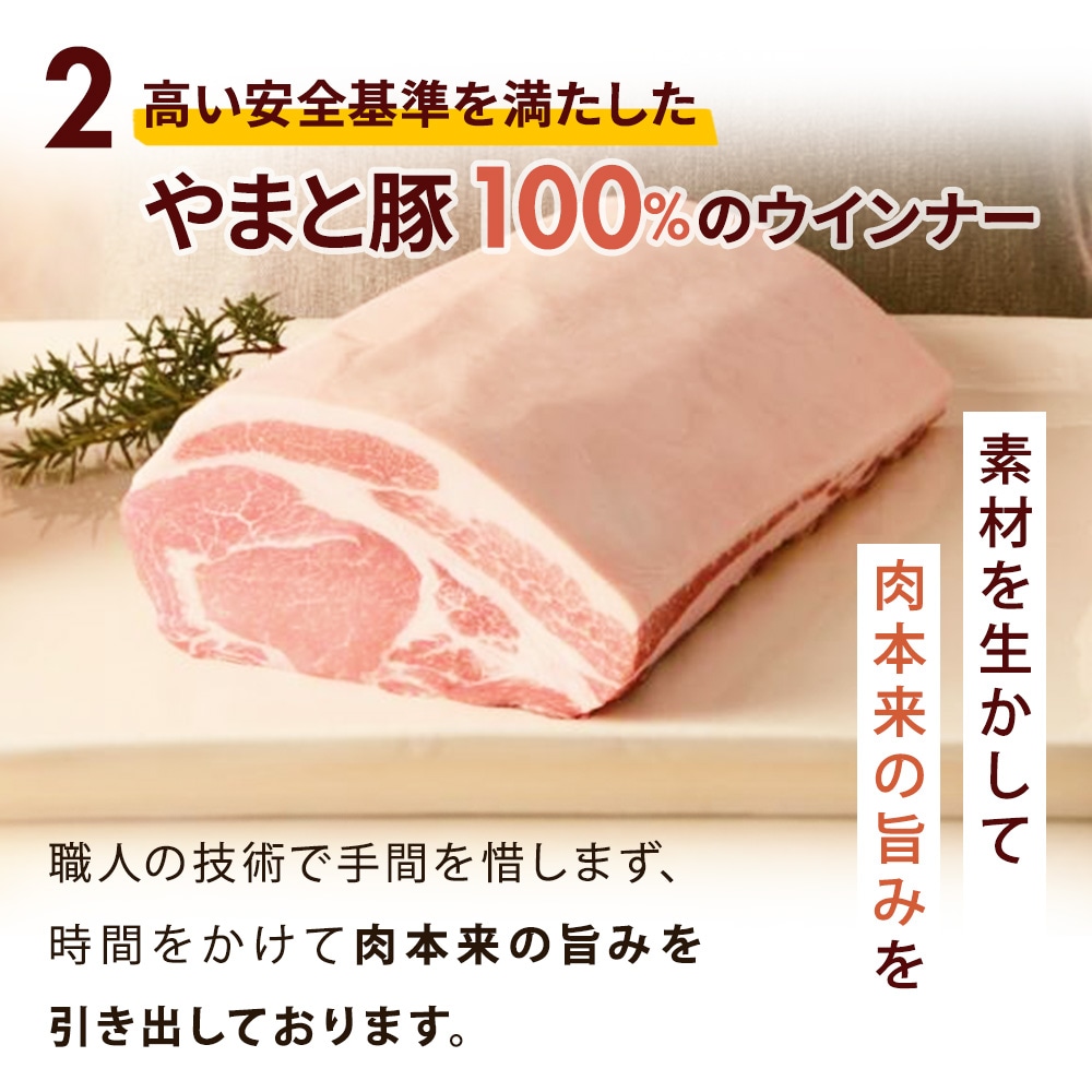 2��ޤ���100��