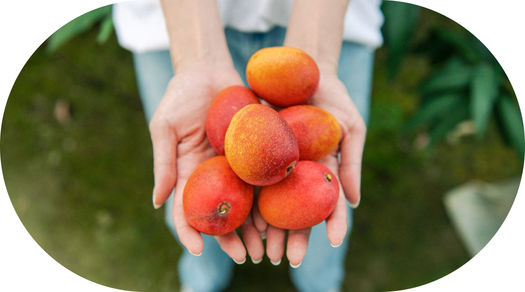 スライドイメージ