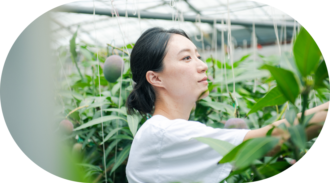 スライドイメージ