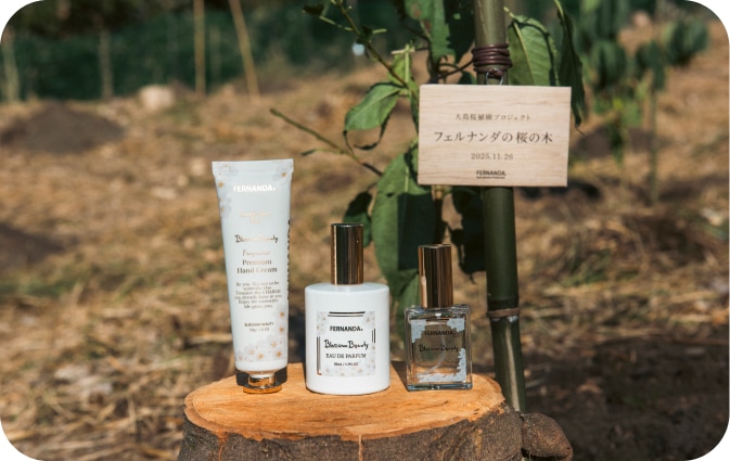 Seasonal Flower Series | フェルナンダ公式オンラインストア/FERNANDA