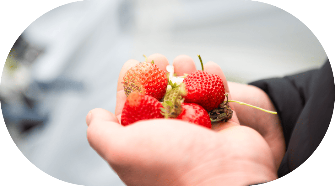 スライドイメージ