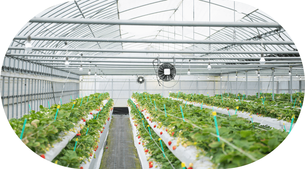 スライドイメージ