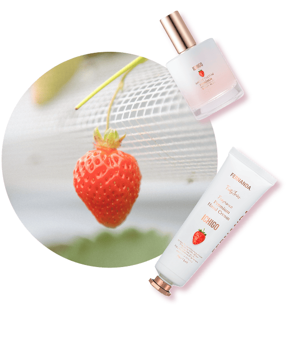 Fruits Series | フェルナンダ公式オンラインストア/FERNANDA SEE MORE