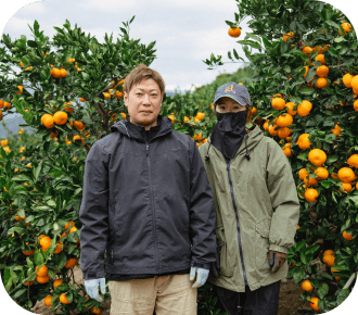 ミカンコレクション