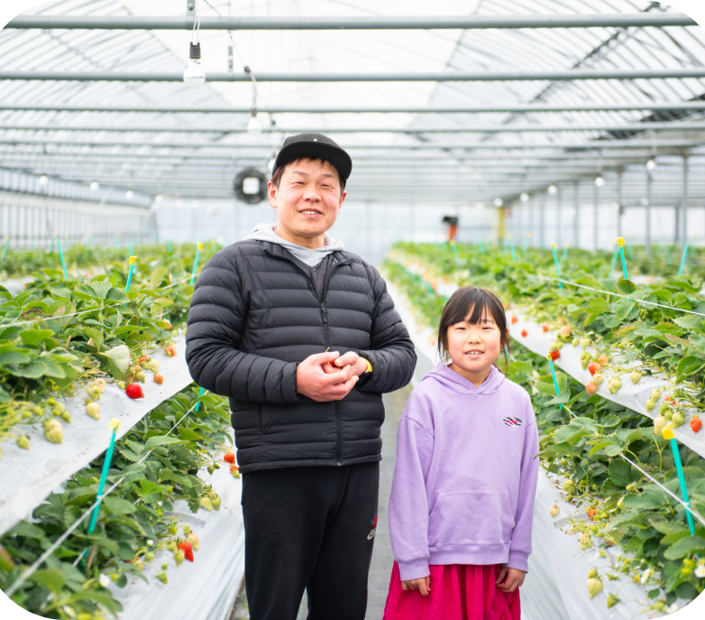 いちごコレクション