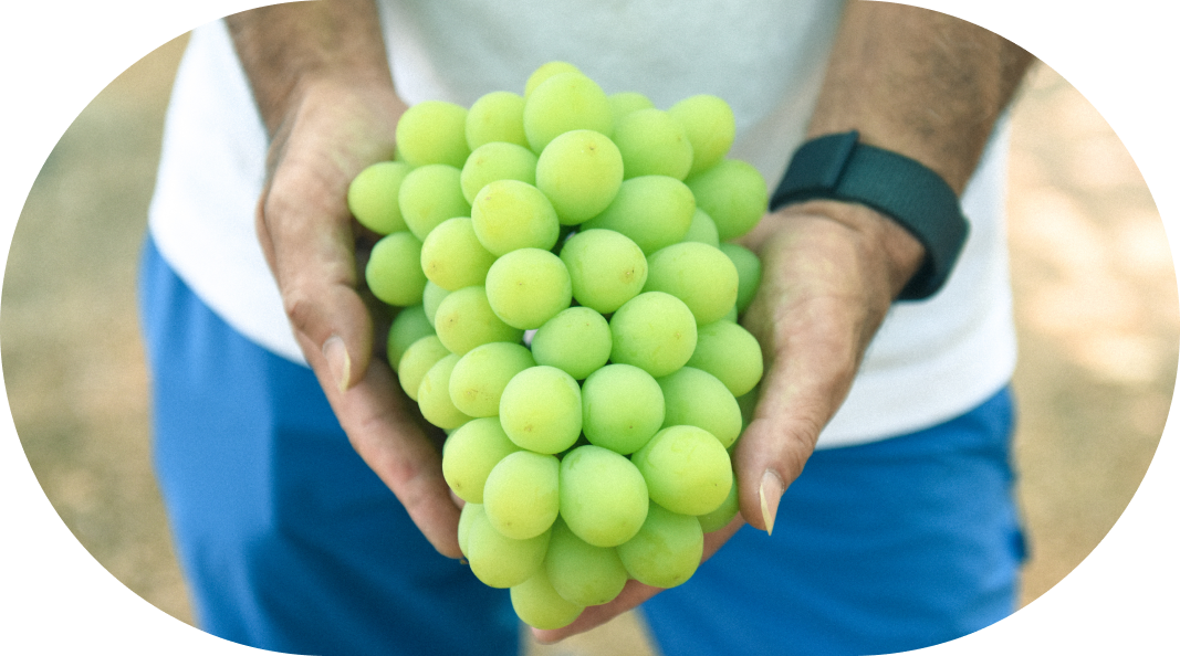 スライドイメージ