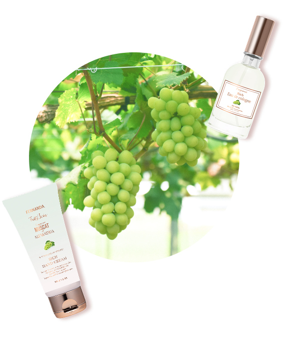 自分らしく、自然をまとう、フェルナンダのサスティナブルフレグランス。