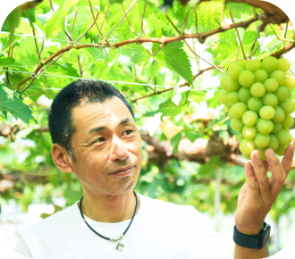 モモコレクション