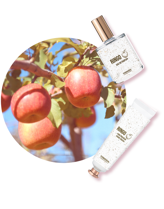 Fruits Series | フェルナンダ公式オンラインストア/FERNANDA SEE MORE