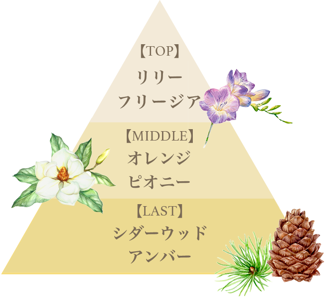 TOPリリー、フリージア　MIDDLEオレンジ、ピオニー　LASTシダーウッド、アンバー