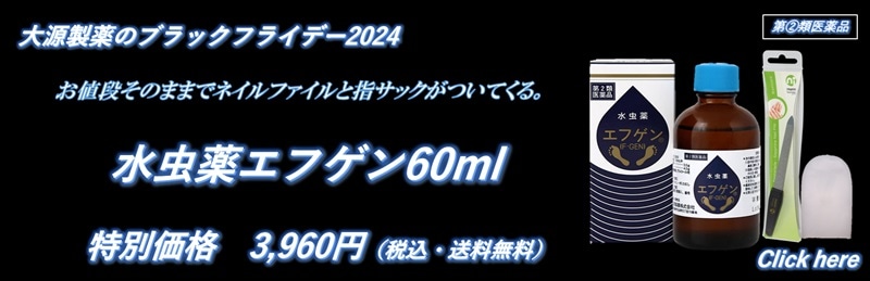 ブラックフライデー2024