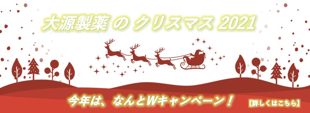 クリスマス企画その2　2021