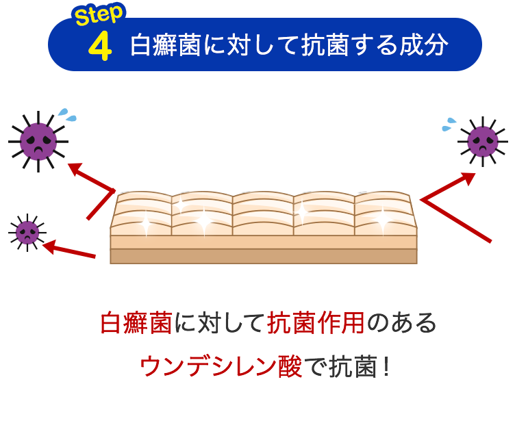 step4_ݤФƹݤʬ