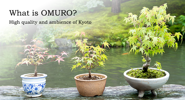What is OMURO?