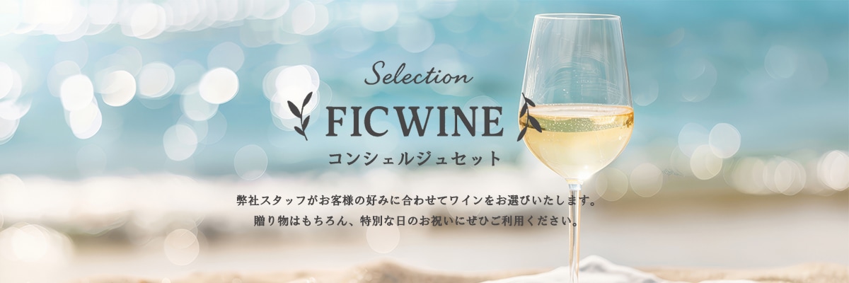 お任せセレクトセット