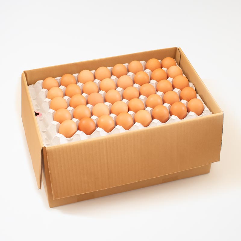 もみじ卵（10kg箱）