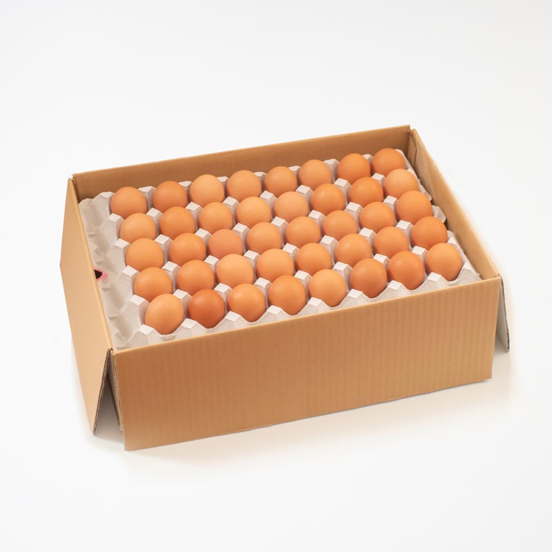 もみじ卵（5kg箱）