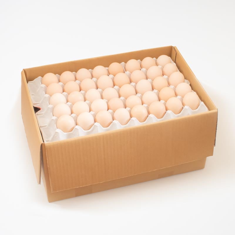 さくら卵（10kg箱）