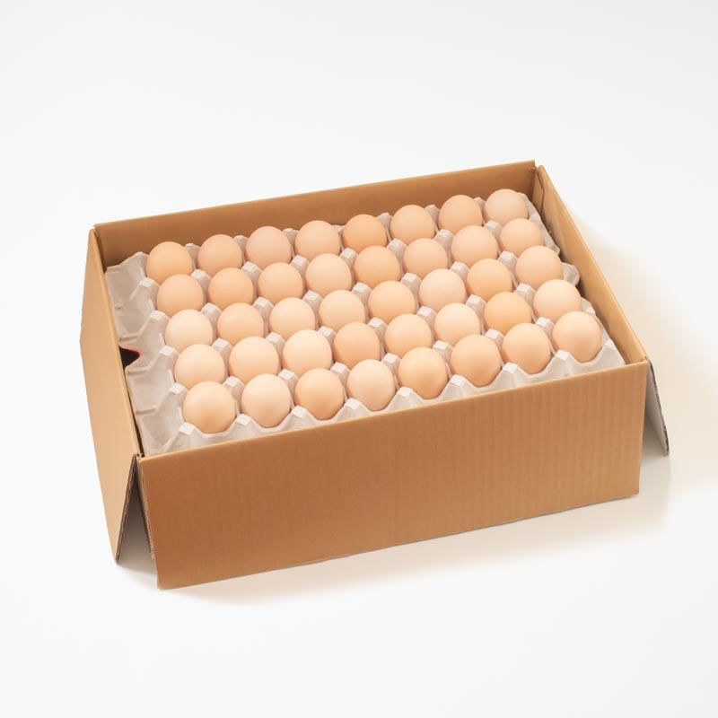 さくら卵（5kg箱）