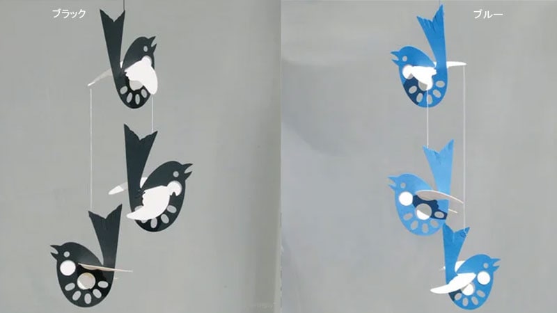 Bird�С���,��ӡ���,Livingly,��ӥ󥰥꡼,�̲���ӡ���,�̲��ǥ�ޡ���,�̲�����,�̲�����ƥꥢ,�̲����ե�