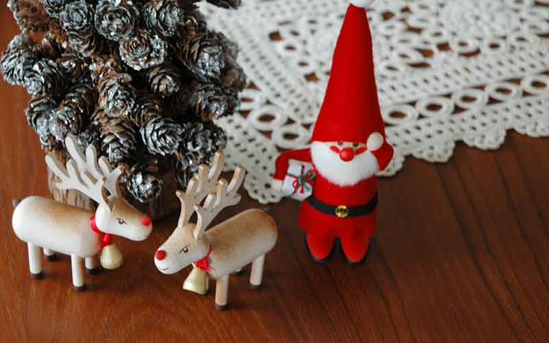 �����ȥ˥��Υϥ�ɥ���եȤΥ��ꥹ�ޥ��Υ��֥���,�ȥʥ���,��ʪ,�̲������ȥ˥�,�̲�����,�̲�����ƥꥢ,�̲����ե�