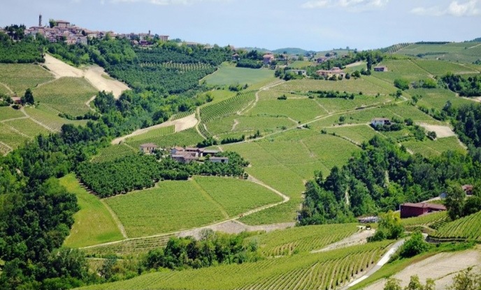 ワイナリーや葡萄畑のある、ロンコヌオーヴォ渓谷。右下に見える建物がロベルト サロットの醸造所
