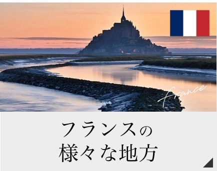 フランスの様々な地方のワイン