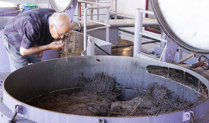 �����ؤΤ������