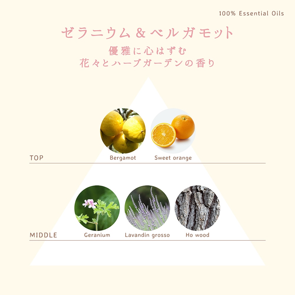 ����˥�����٥륬��åȤι������