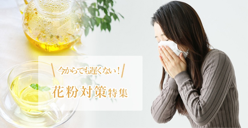 特集 花粉対策 エッセンシャルオイル 精油 アロマオイル の通販ならフレーバーライフ
