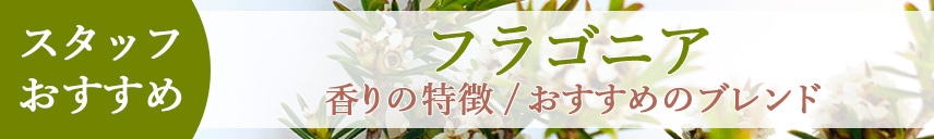 �����åդ�������åե饴�˥�