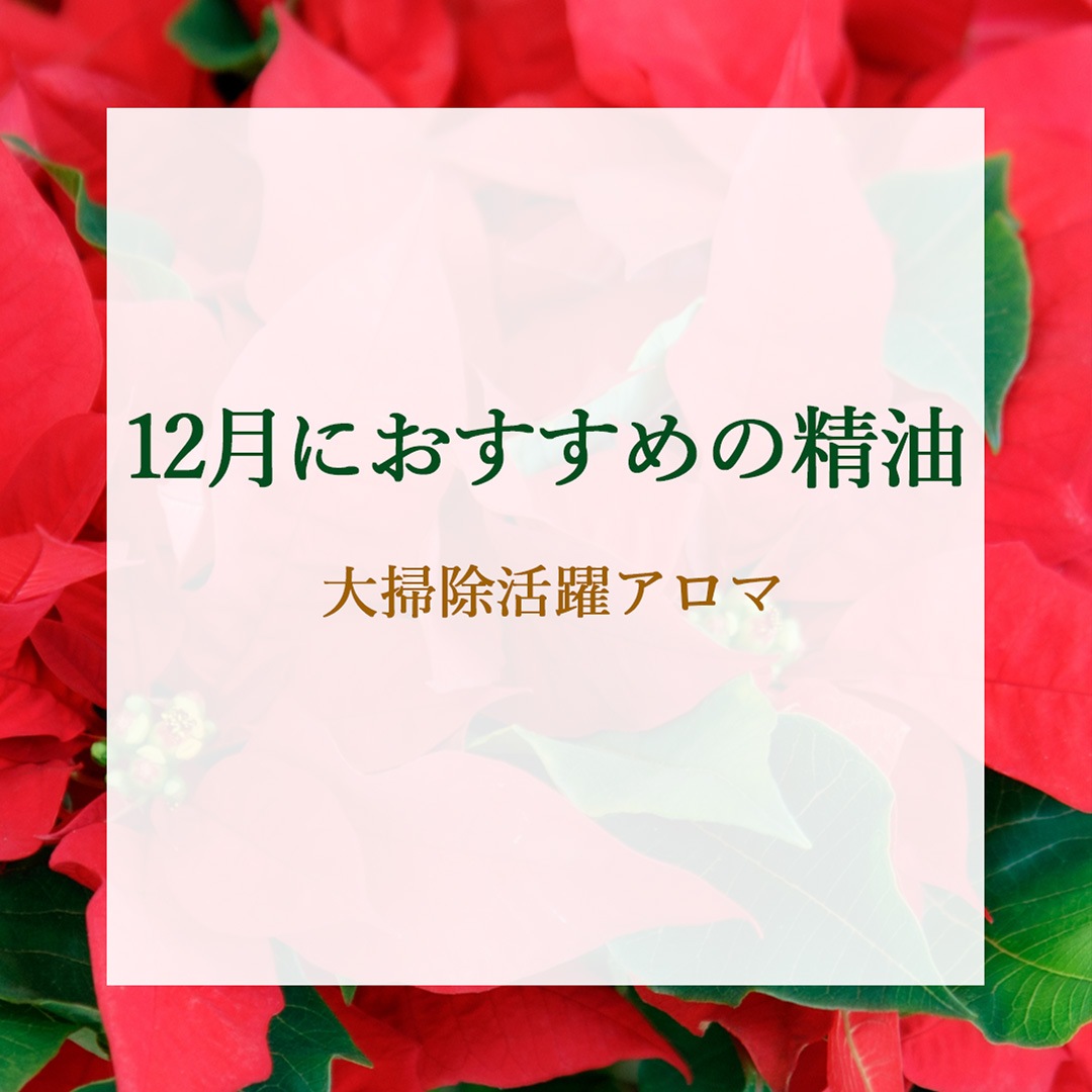 ����Τ������ᥢ���ޡ�12��