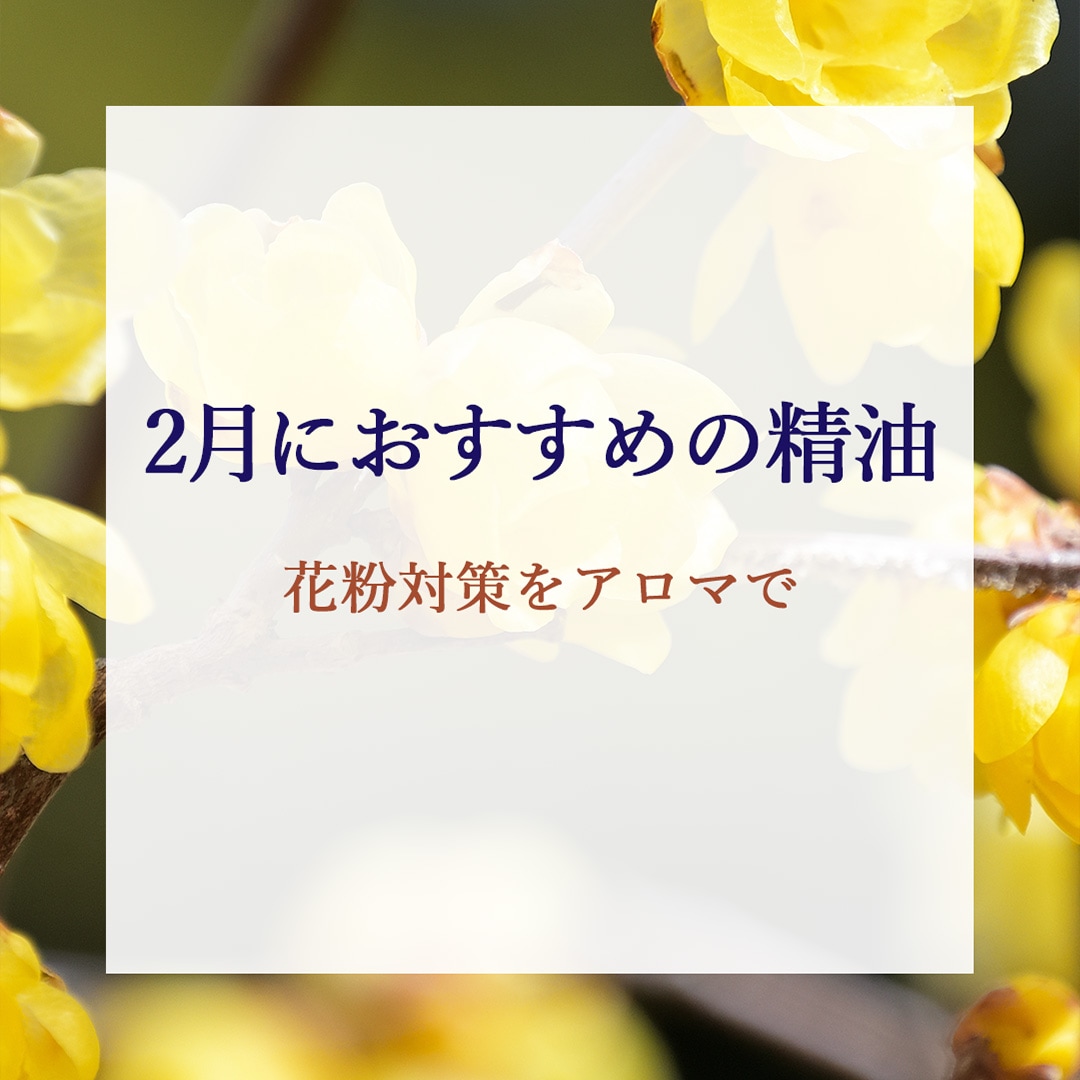 ����Τ������ᥢ���ޡ�2��