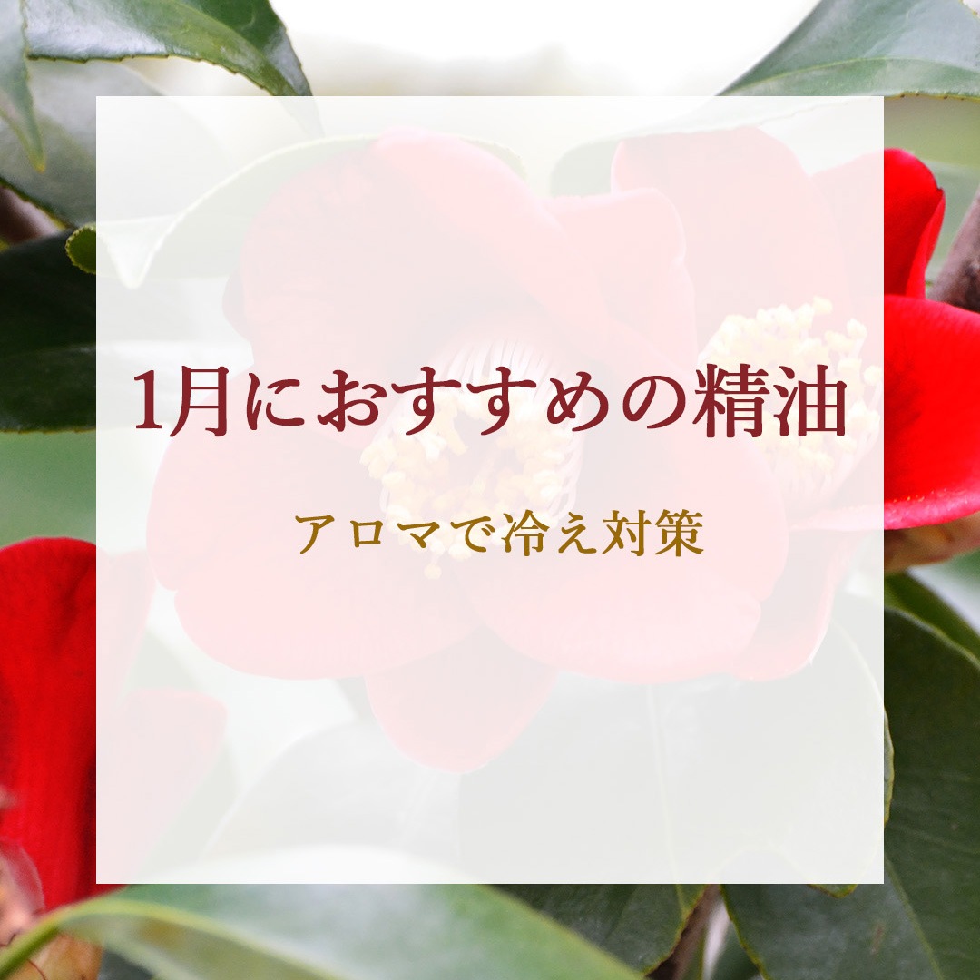 ����Τ������ᥢ���ޡ�1��